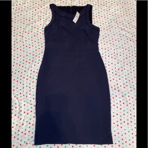 Ann Taylor Sleeveless Dress